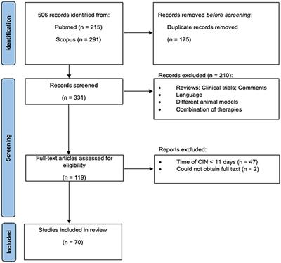 Preclinical research in paclitaxel-induced neuropathic pain: a systematic review